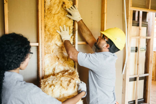 Best Garage Insulation Installation  in South Wallins, KY