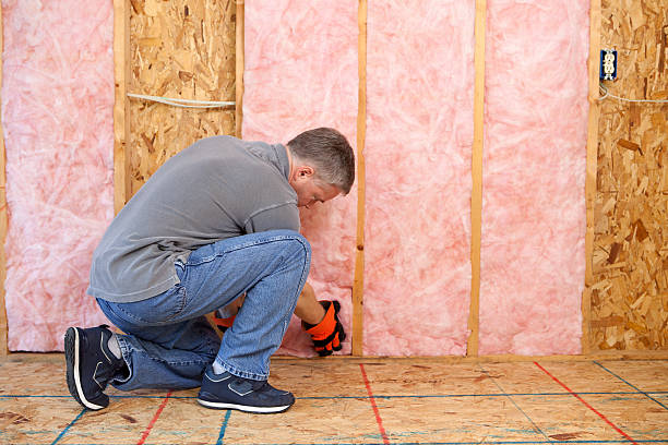 Best Energy-efficient Insulation  in South Wallins, KY
